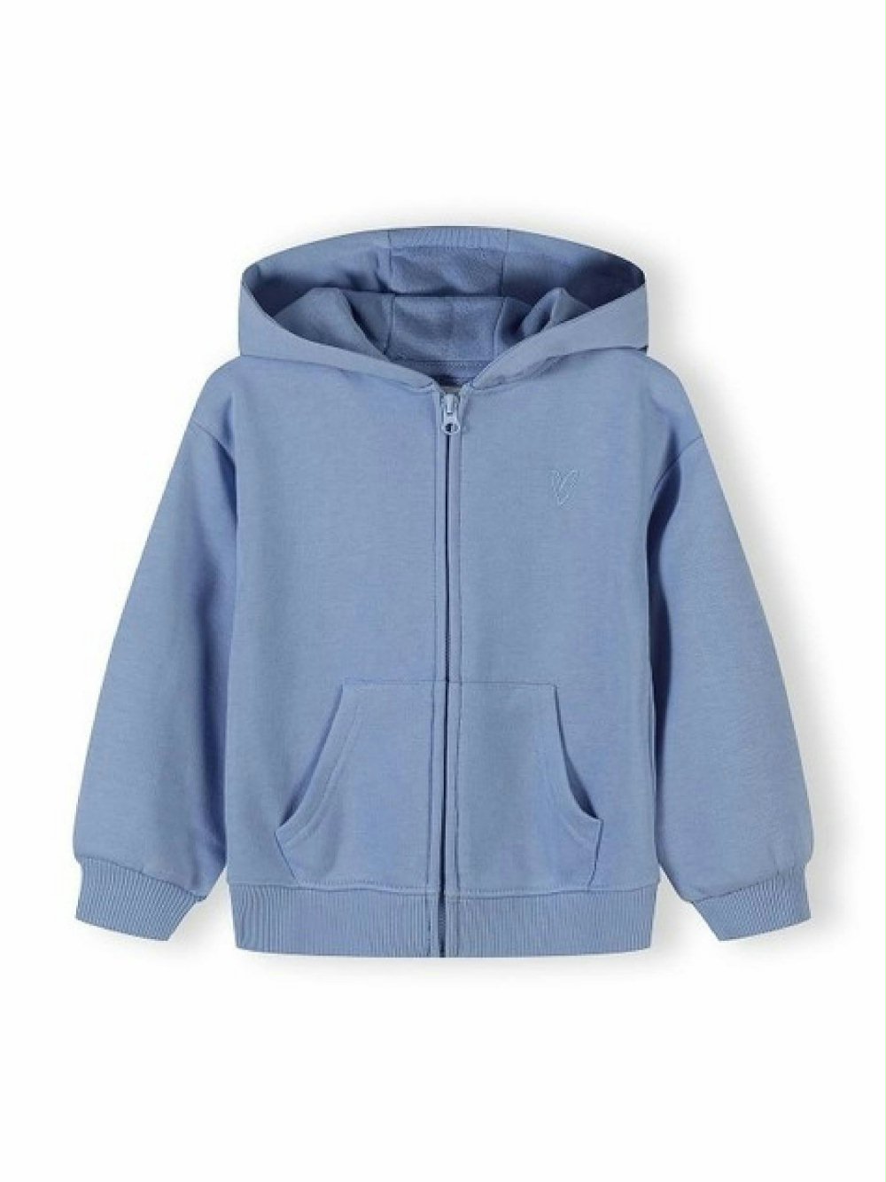 Felpa zip con cappuccio bimba 44739_AZZURRO 00 Felpa zip con cappuccio bimba MINOTI - Felpa con zip e cappuccio in cotone stretch, bambina 3 mesi -3 anni